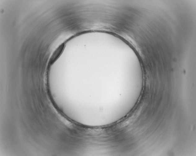 X0000088221285200706051313