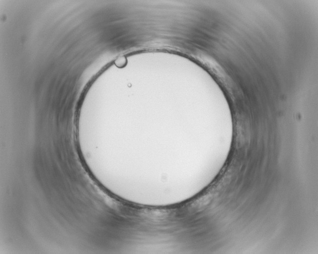 X0000088221286200706051313