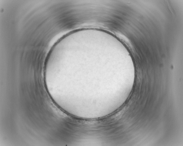 X0000088221288200706051313