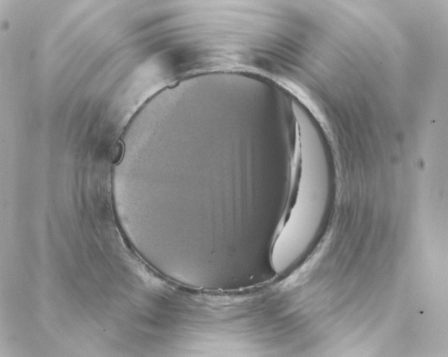 X0000088221289200706051313