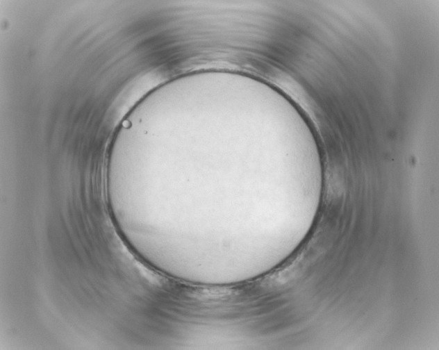 X0000088221290200706051313