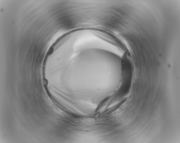 X0000088221291200706051313