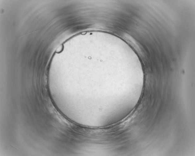 X0000088221292200706051313