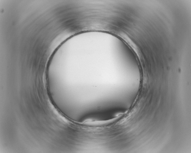 X0000088221293200706051313