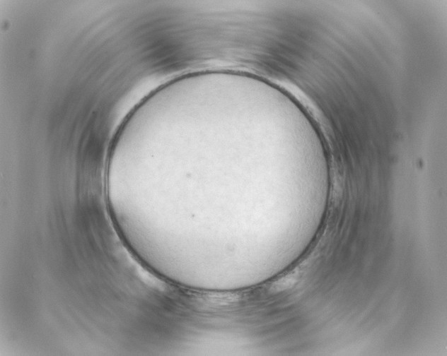 X0000088221294200706051313