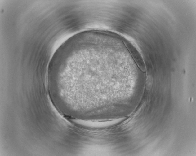 X0000088221295200706051313