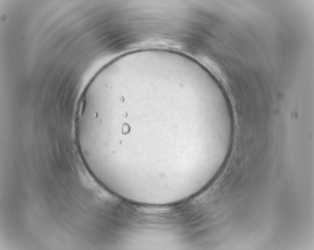 X0000088221296200706051313