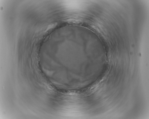 X0000088221297200706051312