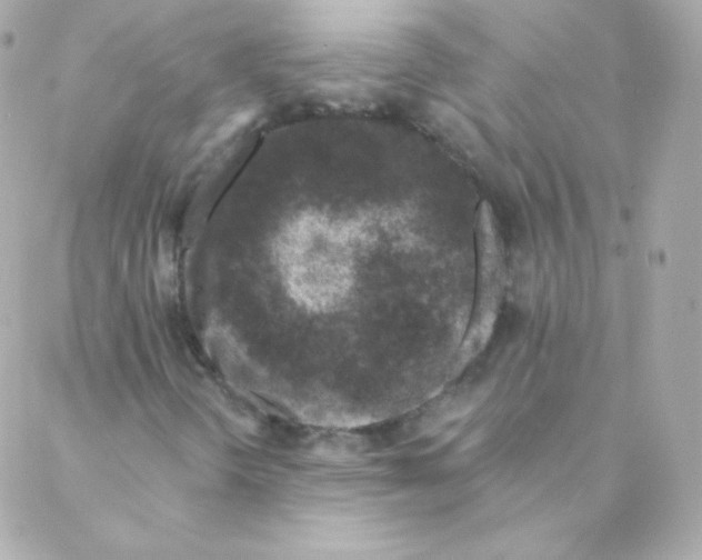 X0000088221298200706051312