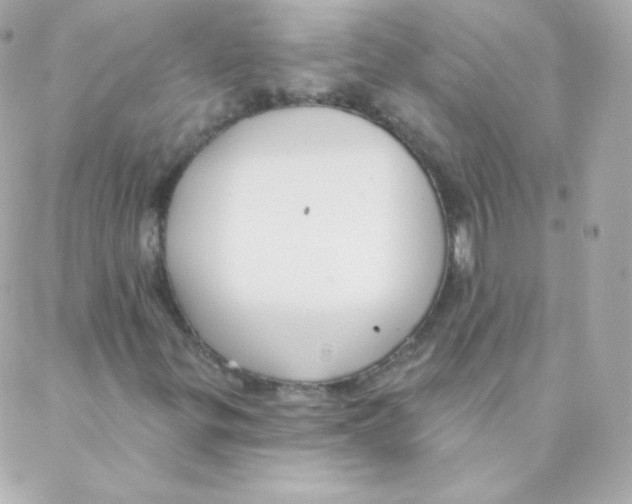 X0000088221299200706051312