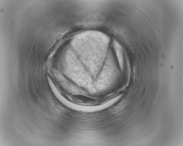 X0000088221300200706051312