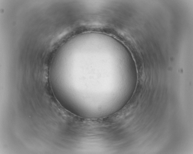 X0000088221301200706051312