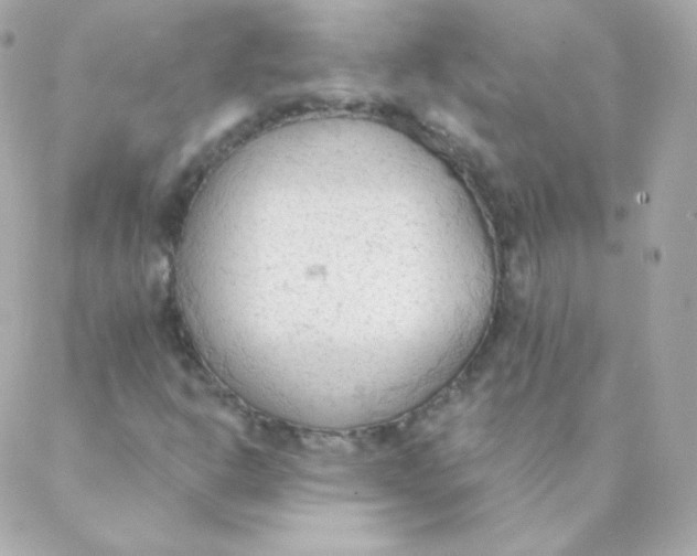 X0000088221302200706051312