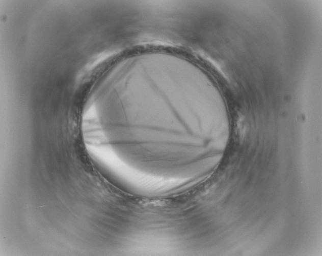 X0000088221303200706051312