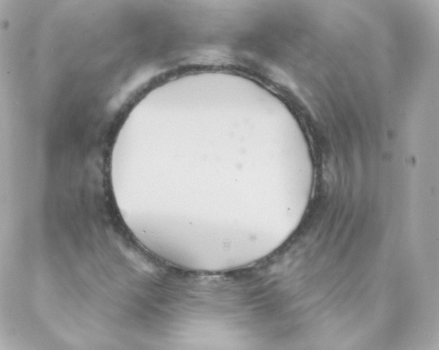 X0000088221304200706051312