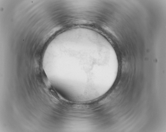 X0000088221305200706051312