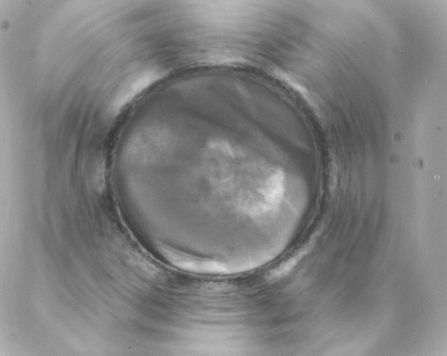 X0000088221306200706051312