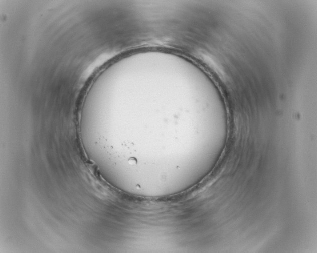 X0000088221308200706051312