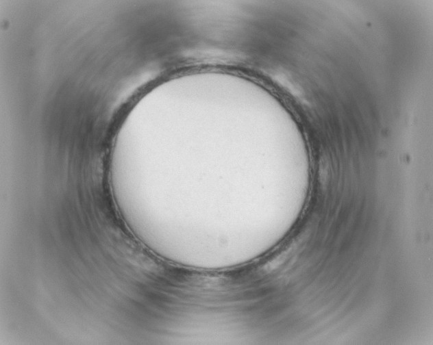 X0000088221309200706051312