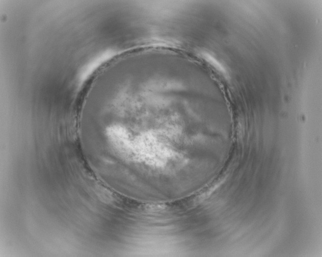 X0000088221310200706051312