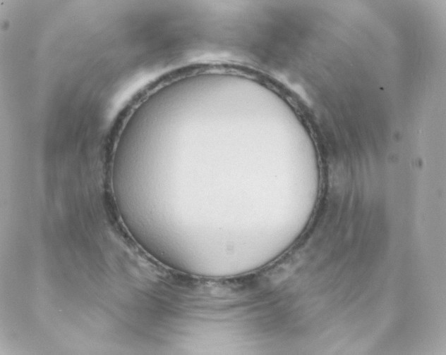 X0000088221311200706051312