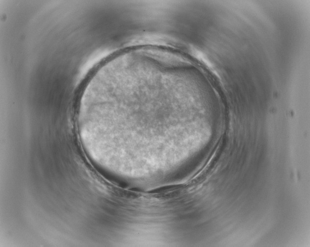 X0000088221312200706051312