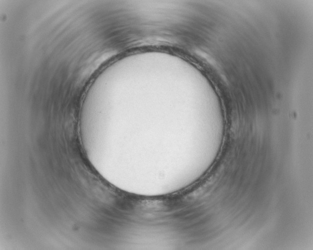 X0000088221313200706051312