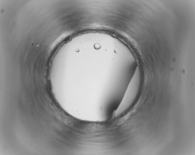 X0000088221314200706051312