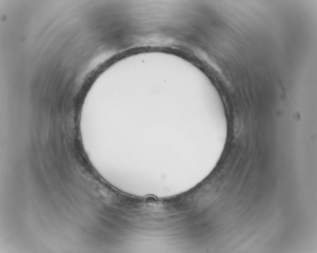 X0000088221315200706051312