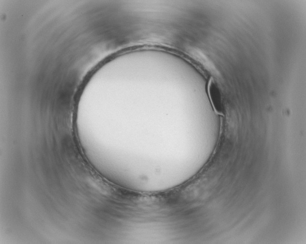 X0000088221316200706051312