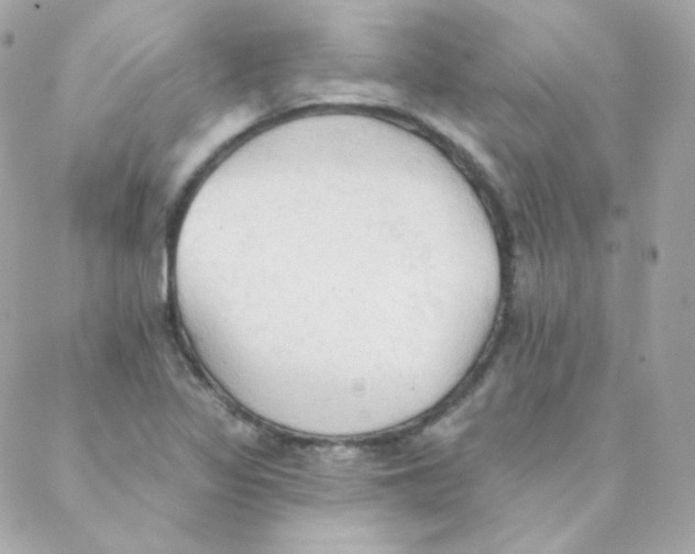 X0000088221317200706051312