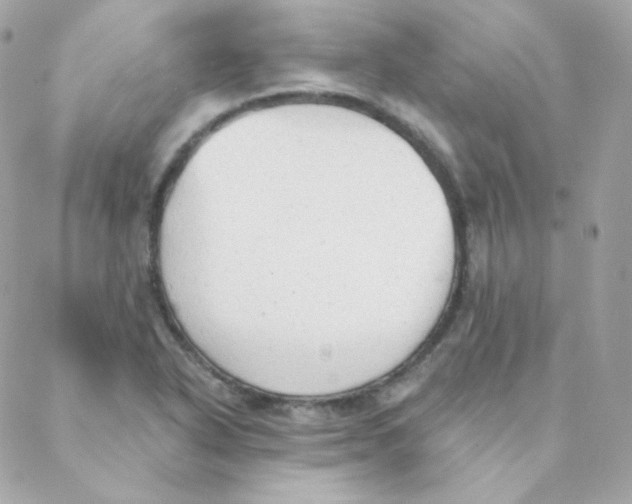 X0000088221318200706051312