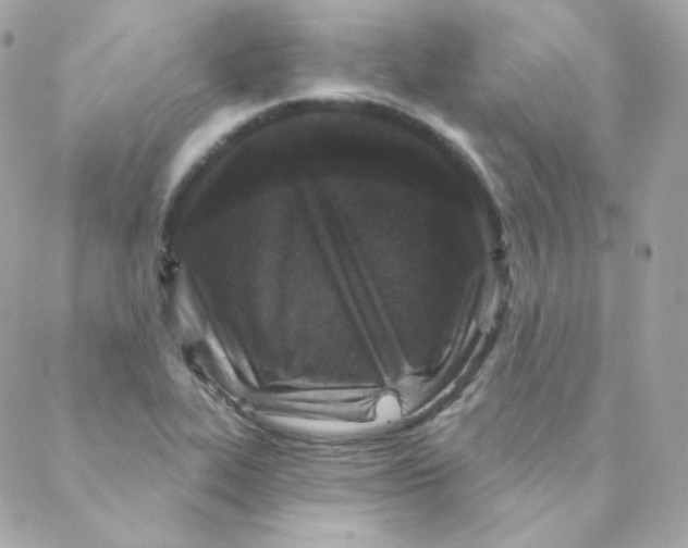 X0000088221319200706051313