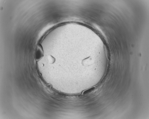 X0000088221320200706051313