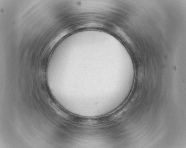 X0000088221321200706051313