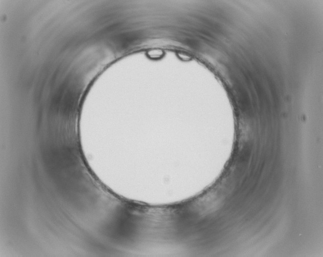 X0000088221322200706051313