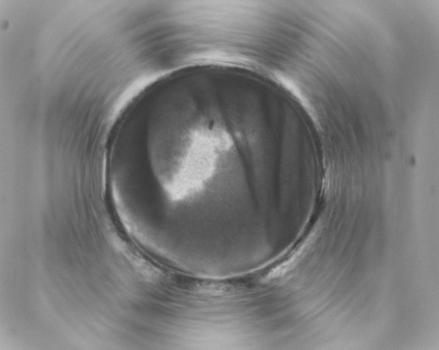 X0000088221323200706051313