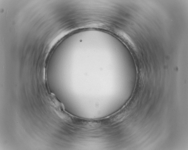 X0000088221324200706051313