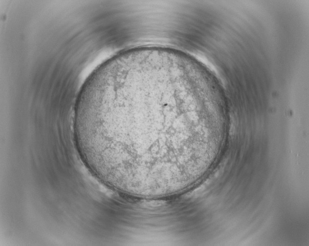 X0000088221325200706051313