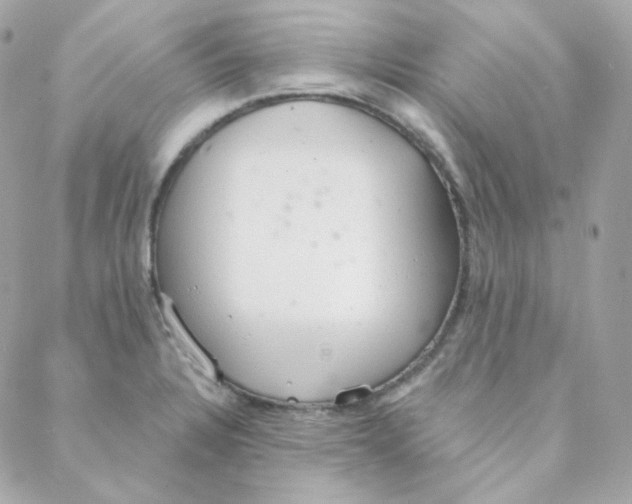 X0000088221328200706051313