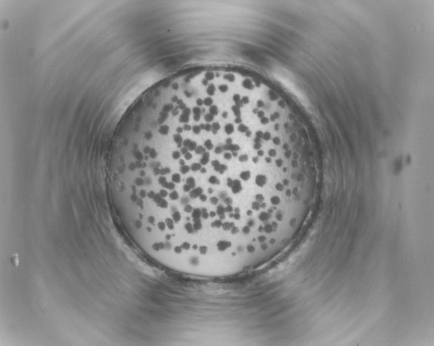 X0000088221329200706051313