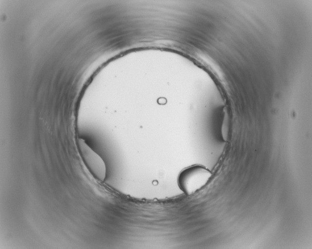 X0000088221332200706051313