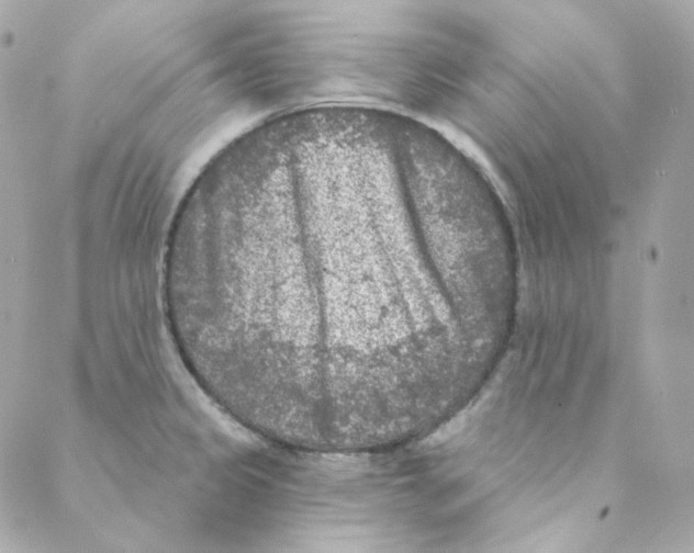 X0000088221333200706051313