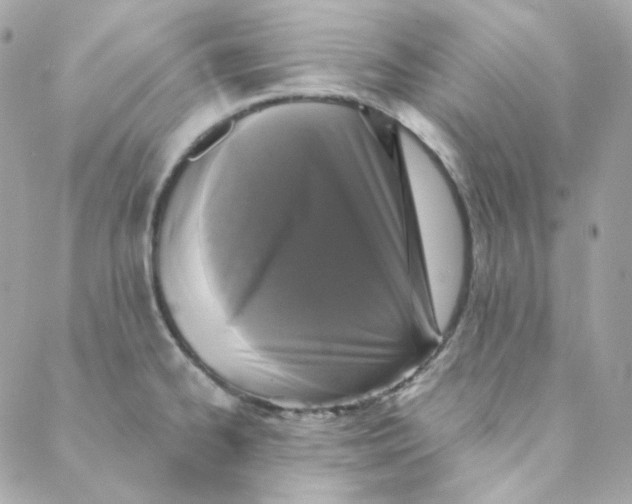 X0000088221334200706051313