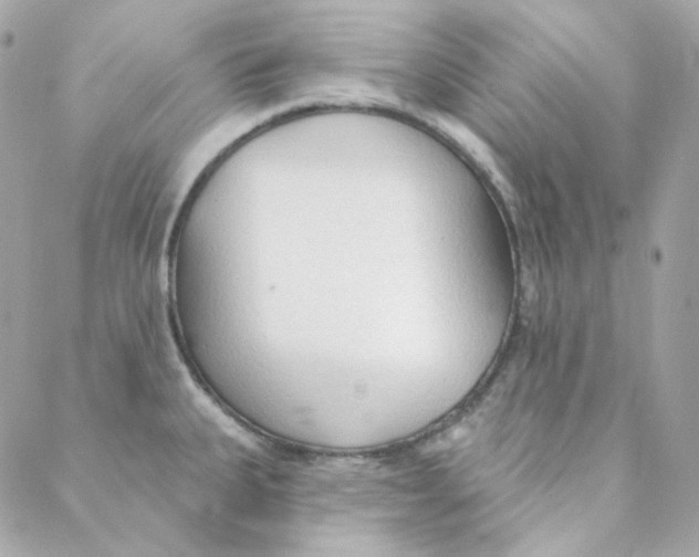 X0000088221335200706051313