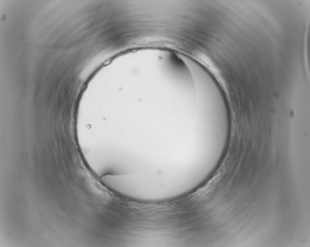 X0000088221336200706051313