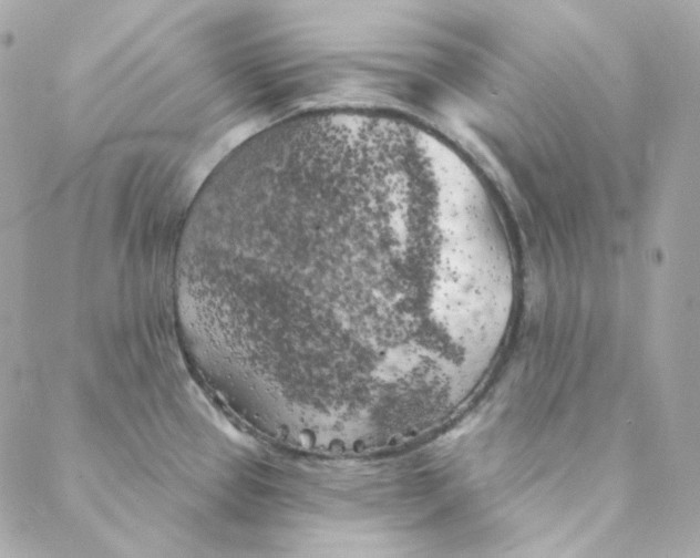 X0000088221337200706051313