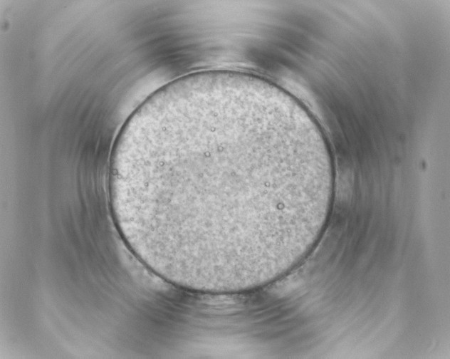 X0000088221338200706051313