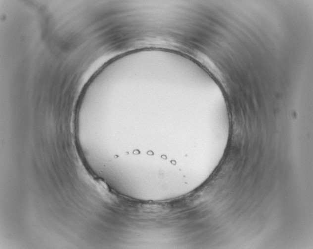 X0000088221339200706051313