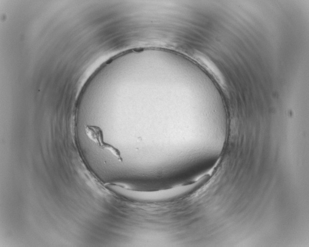 X0000088221340200706051313